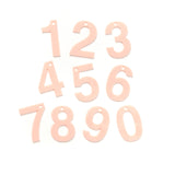 Number Tag - Blush