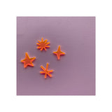 Name Kit Stars! (Set of 4)