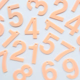 Number Tag - Blush