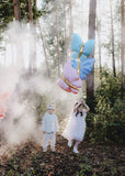 Butterfly Balloon