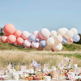 Blush, Nude & Blue Party Balloon Arch Kit