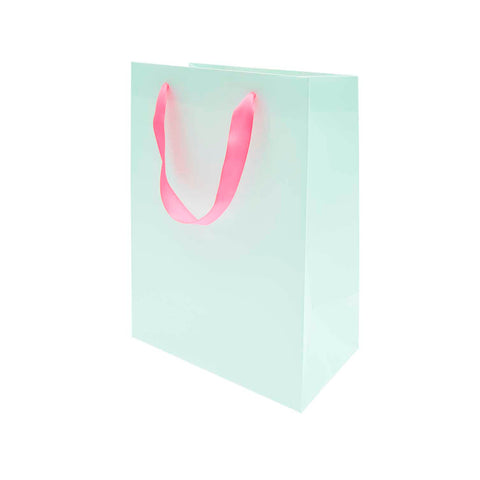 Gift Bag - Mint / Neon Pink